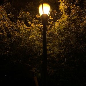 Meet your Posher, Xavier